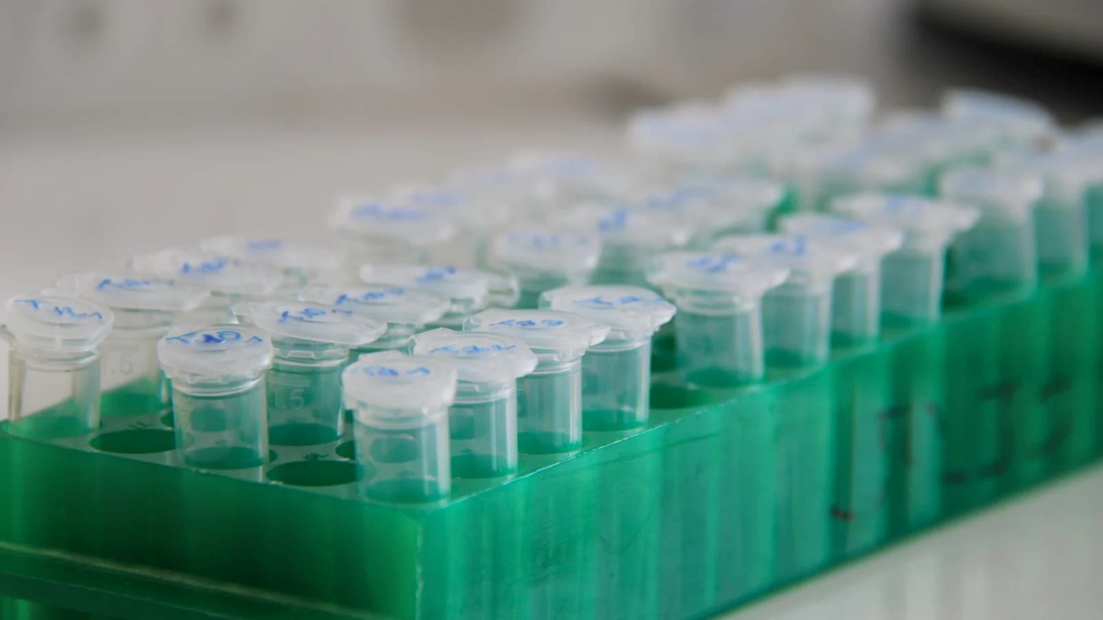 Biologics vs. Biosimilars: What Manufacturers Need to Know