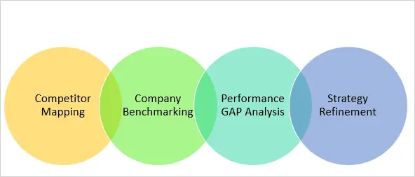 Competitor Mapping, Company Benchmarking, Performance GAP Analysis, Strategy Refinement