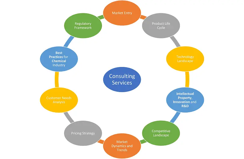 Consulting Services: Market Entry, Product Life Cycle, Technology Landscape, Intellectual Property Innovation and R&D, Competitive Landscape, Market Dynamics and Trends, Pricing Strategy, Customer Needs Analysis, Regulatory Framework, Portfolio for Chemical Industry
