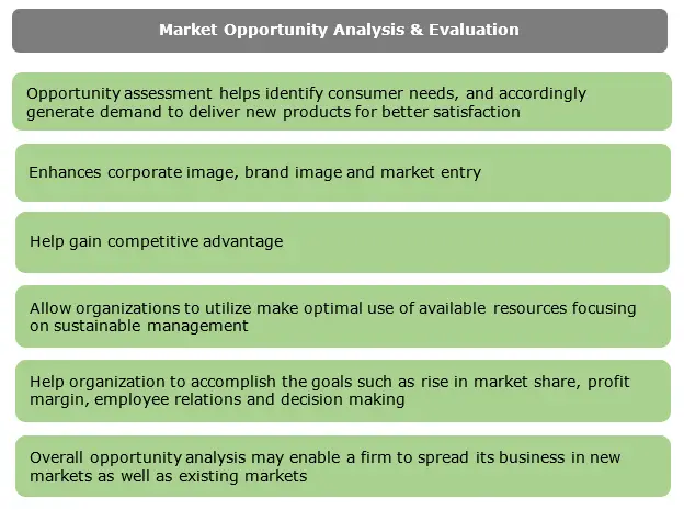 Market Opportunity Analysis & Evaluation