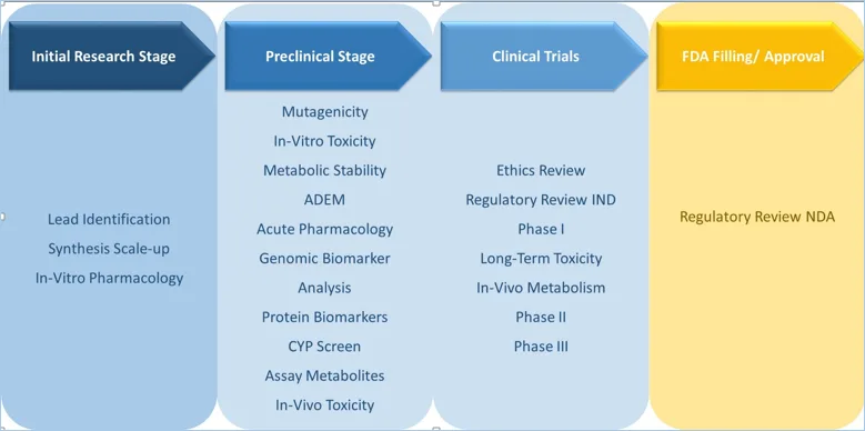 Initial Research Stage, Preclinical Stage, Clinical Trials, FDA Filing/Approval
