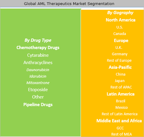 Acute Myeloid Leukemia (AML) Therapeutics Market
