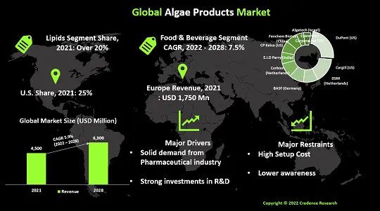 algae-products-market
