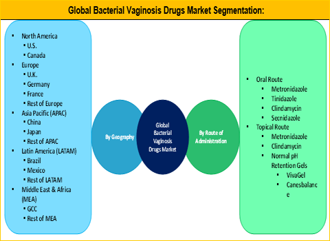 Bacterial Vaginosis Drugs Market