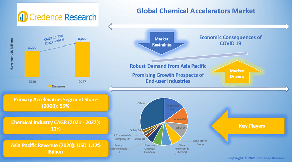 Chemical Accelerators Market