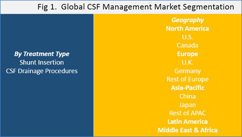 CSF (Cerebrospinal Fluid) Management Market