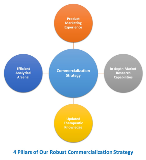 Drug Commercialization Strategies