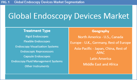 Endoscopy Devices: Market
