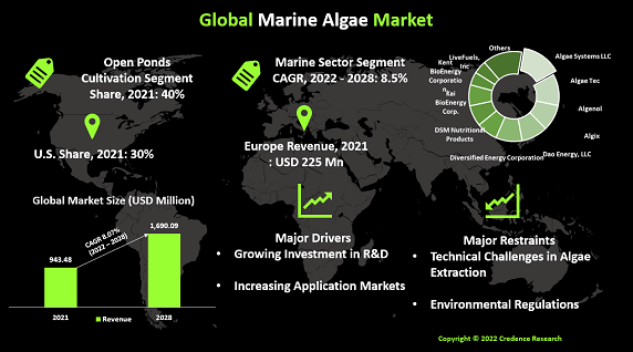 marine-algae-market