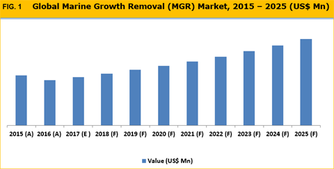Marine Growth Removal (MGR) Market