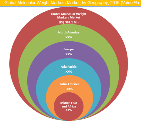 Molecular Weight Marker Market
