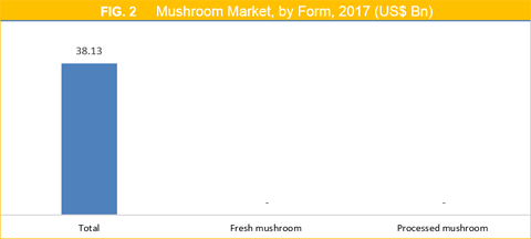 Mushroom Market