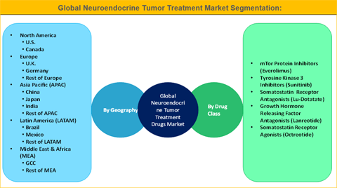 Neuroendocrine Tumor Treatment Market