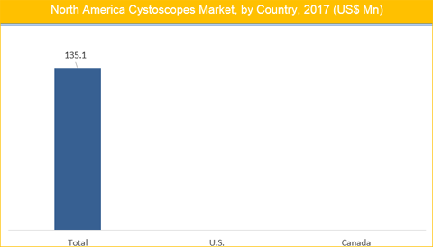 North America Cystoscopes Market