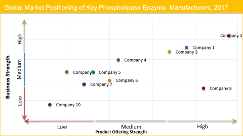 Phospholipase Enzyme Market
