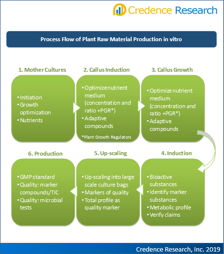 Plant Stem Cell Case Study