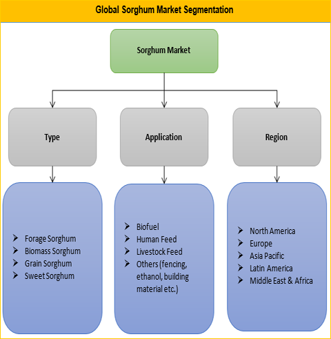 sorghum market 2025 biofuel