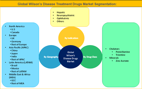 Wilson’s Disease Drugs Market