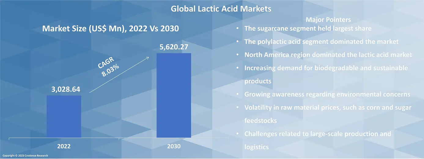 Lactic Acid Market