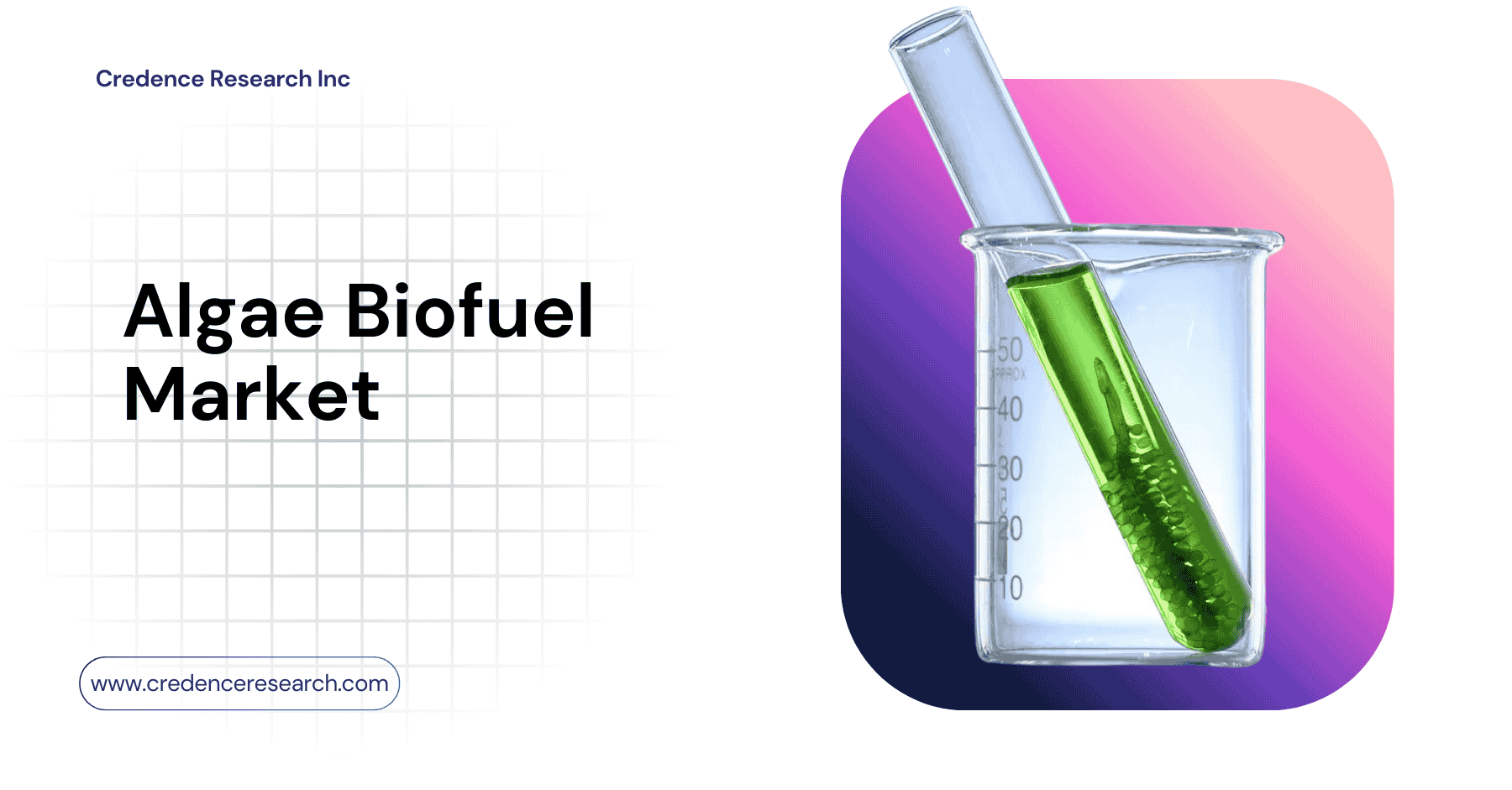 Algae Biofuel Market to Reach USD 12.83 Billion by 2032