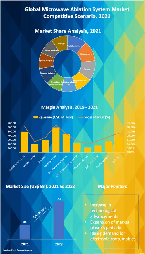 Microwave Ablation System Market