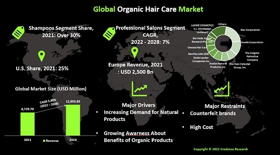 Organic Hair Care Market