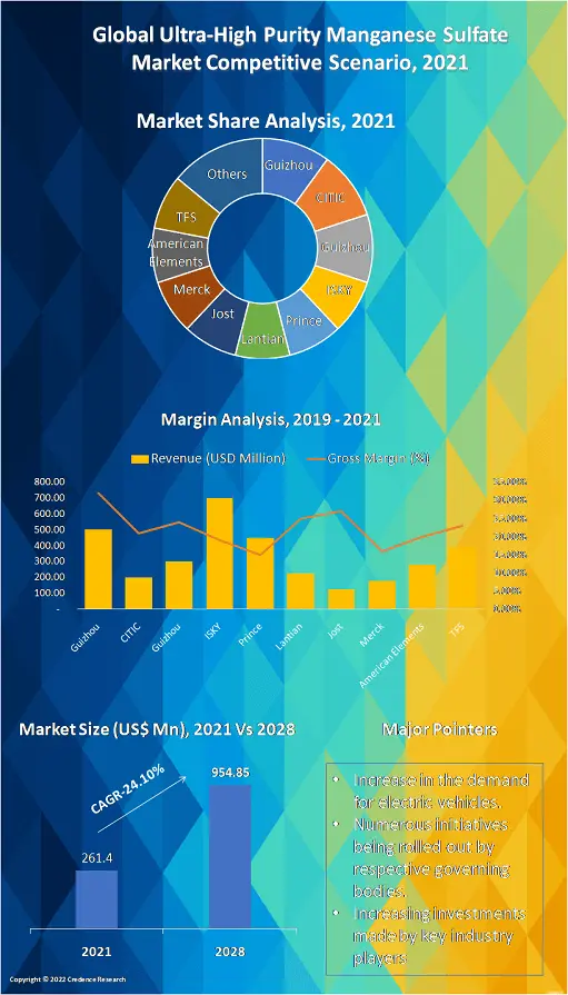 Ultra-High Purity Manganese Sulfate Market