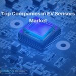 EV Sensors Market