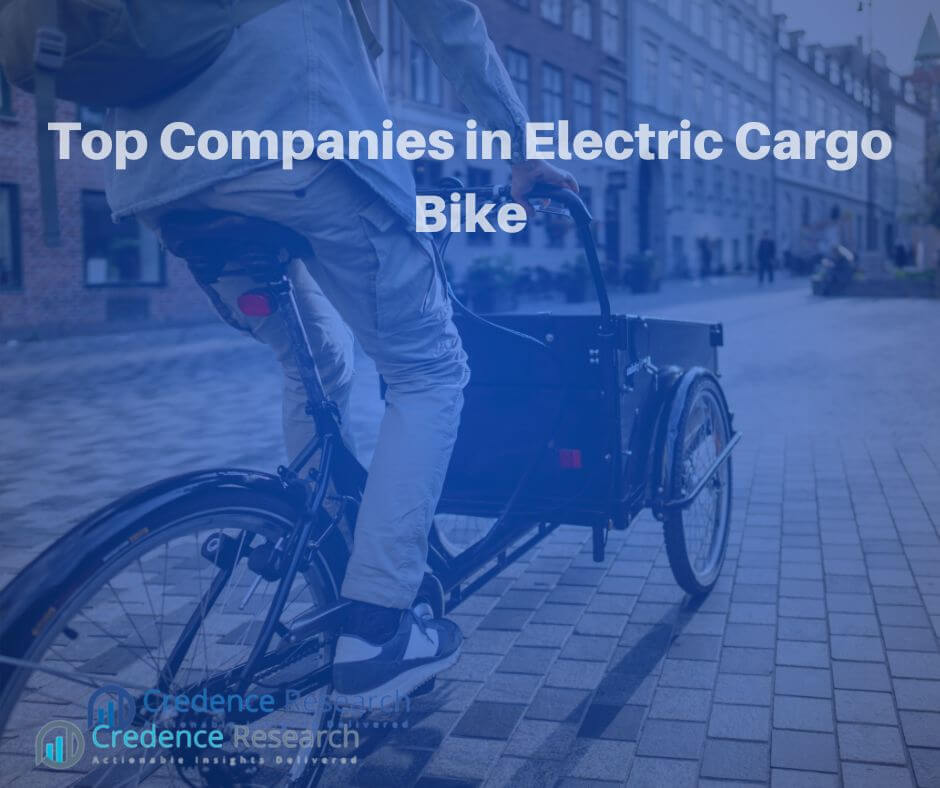 Electric Cargo Bike (1)