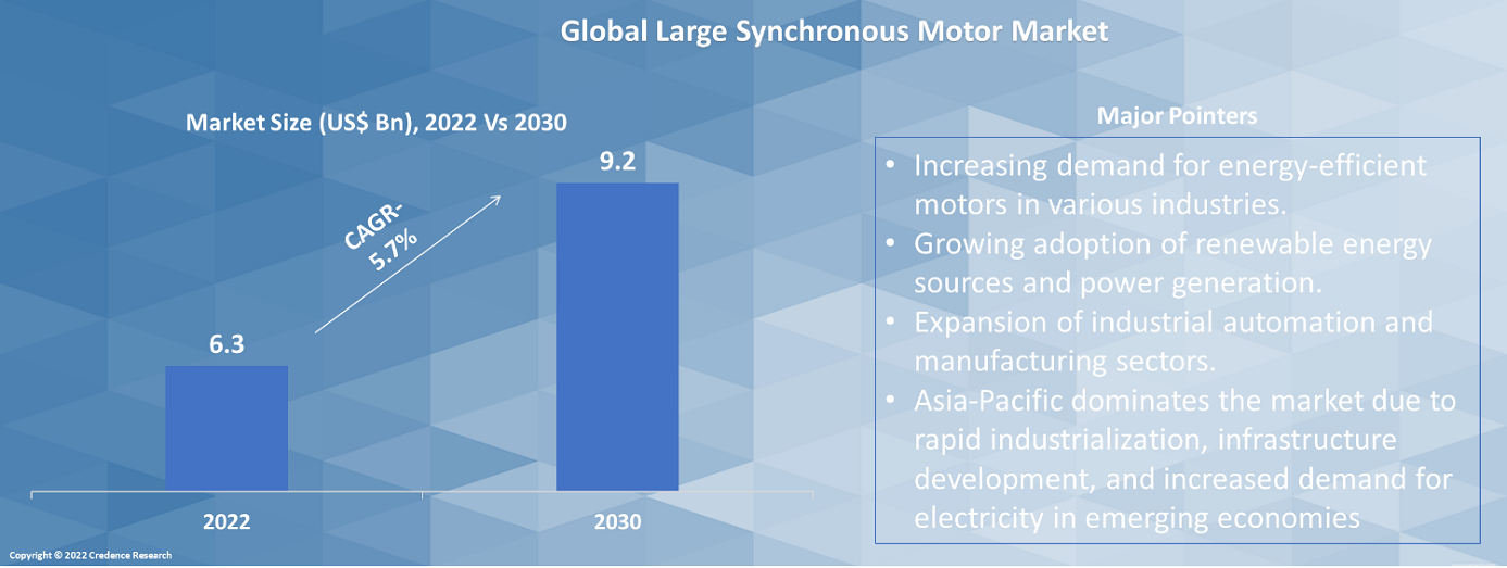 Large Synchronous Motor Market