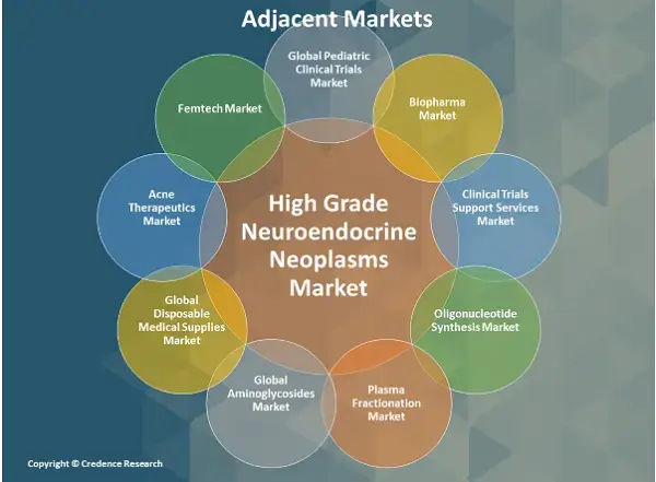 High Grade Neuroendocrine Neoplasms Market A (1)