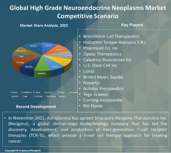 High Grade Neuroendocrine Neoplasms Market C (1)