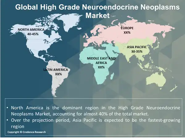 High Grade Neuroendocrine Neoplasms Market R (1)