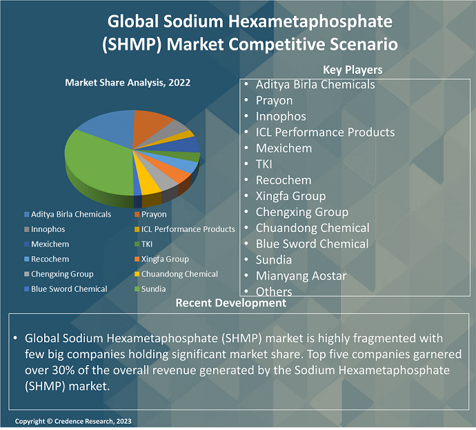 Sodium Hexametaphosphate (SHMP) market Competitive scenario