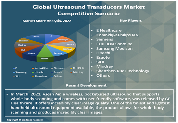 Ultrasound Transducers Market Competitve Scenario