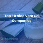 Top 10 Aloe Vera Gel Companies (Manufacturers and Suppliers)