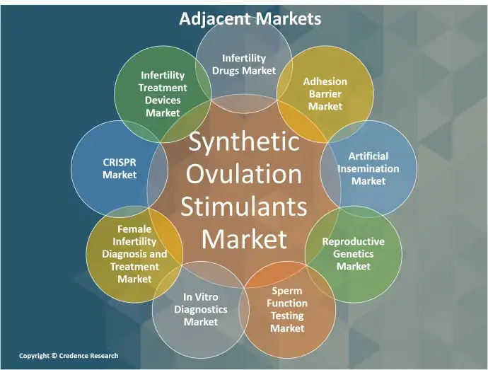 Synthetic Ovulation Stimulants Market Adjacent (1)