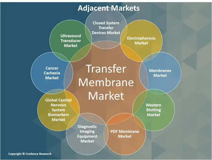 Transfer Membrane Market adjacent (1)