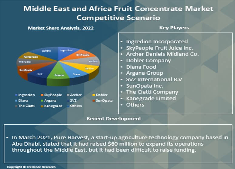 Middle East and Africa Fruit Concentrate Market Research