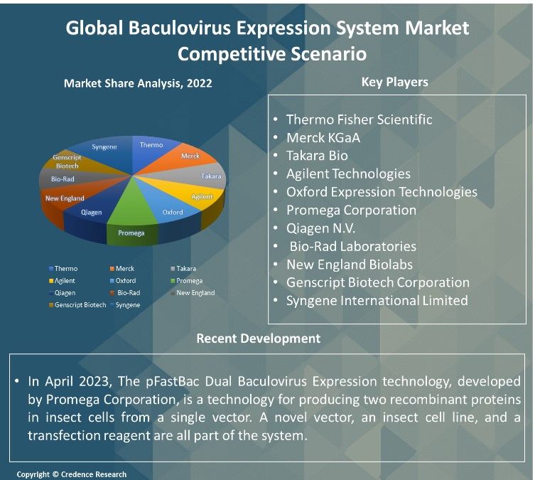 Baculovirus Expression System Market Report