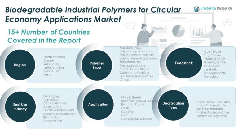 Biodegradable Industrial Polymers for Circular Economy Applications ...