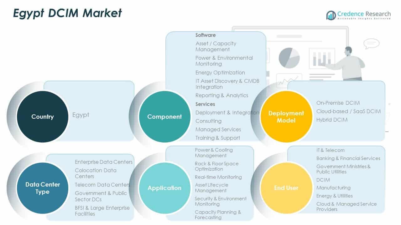 Egypt DCIM Market Share