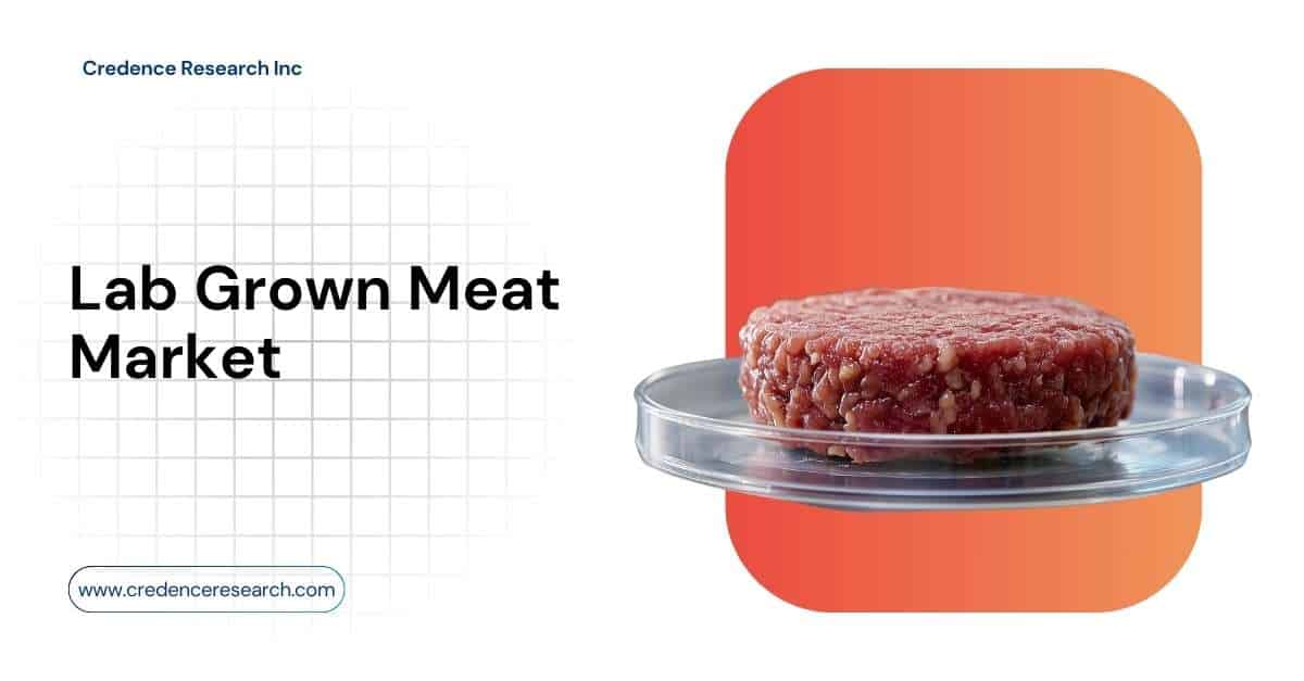 Lab Grown Meat Market Is Anticipated to Reach USD 2,535.36 MN by 2032